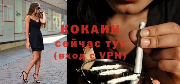 бошки Белокуриха