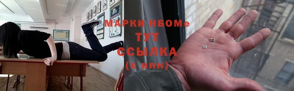 бошки Белокуриха
